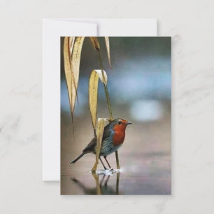 Best 3.5" x 5" Flat Thank You Card