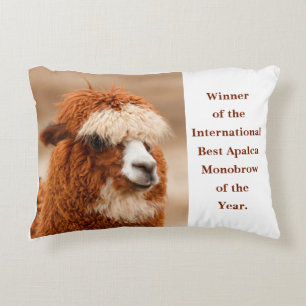 Best Alpaca Monobrow Decorative Cushion