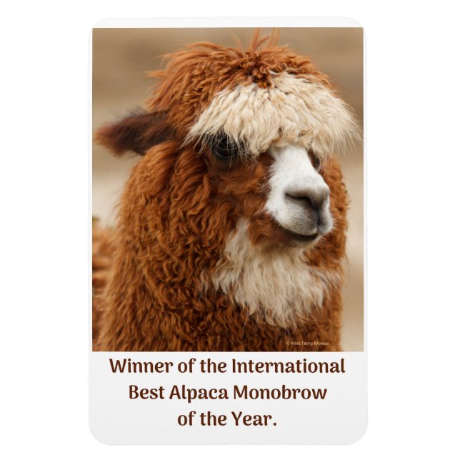 Best Alpaca Monobrow Magnet (Vertical)