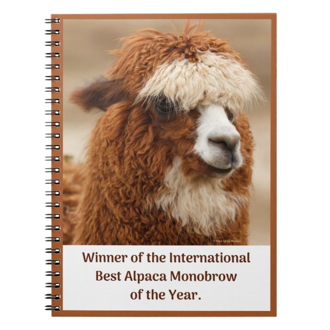 Best Alpaca Monobrow Notebook (Front)