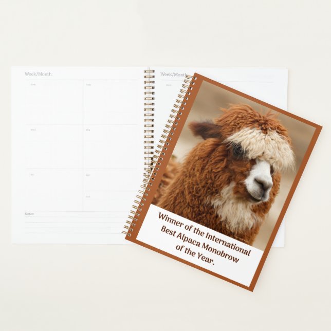 Best Alpaca Monobrow Planner (Display)