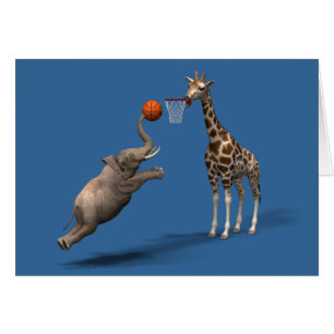 Best Basketball Scorer