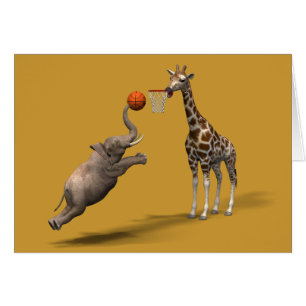 Best Basketball Scorer