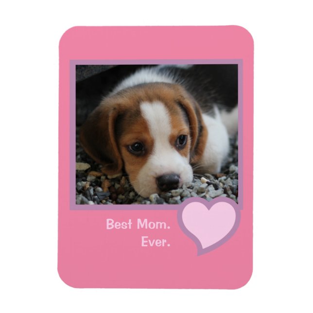 Best Beagle Mom Ever Pink Text Pet Dog Photo  Magnet (Vertical)