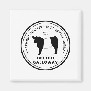 Best Belted Galloway Cattle Breed Badge Belties Magnet