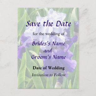 Best Bet Iris Save the Date Announcement Postcard