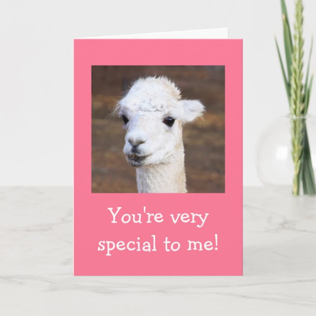 Best Birthday Ever Llama Card (Front)