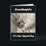 BEST BIRTHDAY EVER TO ***GRANDDAUGHTER***   CARD<br><div class="desc">THANKS FOR STOPPING BY ONE OF MY EIGHT STORES!</div>
