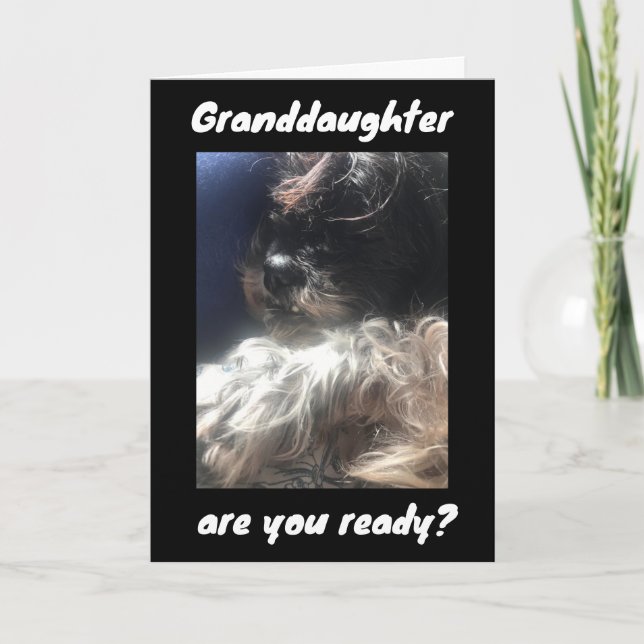 BEST BIRTHDAY EVER TO ***GRANDDAUGHTER***   CARD (Front)