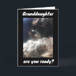 BEST BIRTHDAY EVER TO ***GRANDDAUGHTER***   CARD<br><div class="desc">THANKS FOR STOPPING BY ONE OF MY EIGHT STORES!</div>