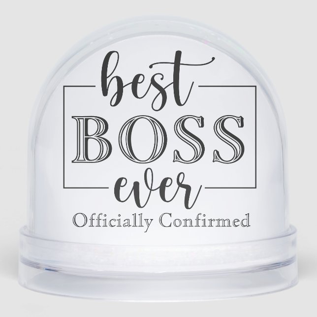 Best Boss Ever Entrepreneurs Picture Leadership  Snowglobe (Front)