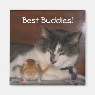 Best Buddies 2" Magnet