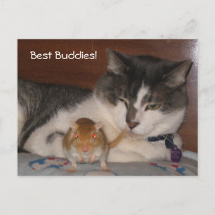 Best Buddies Postcard