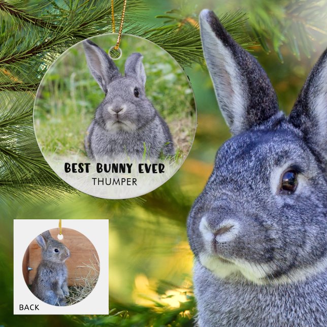 BEST BUNNY EVER Rabbit Photo Personalised Ceramic Tree Decoration (Creator Uploaded)