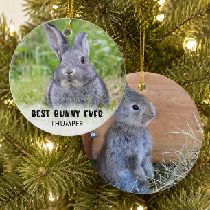 BEST BUNNY EVER Rabbit Photo Personalised Ceramic Tree Decoration