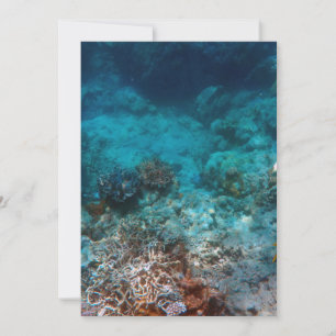 Best Card 5" x 7"