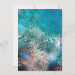 Best Card 5" x 7"
