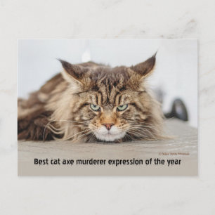 Best cat ax murderer expression postcard