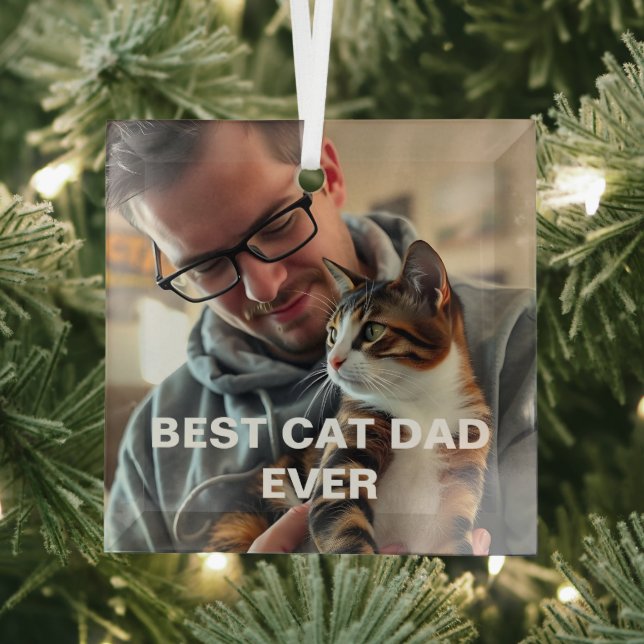Best Cat Dad Ever – Modern Custom Photo Design Glass Tree Decoration (Insitu)