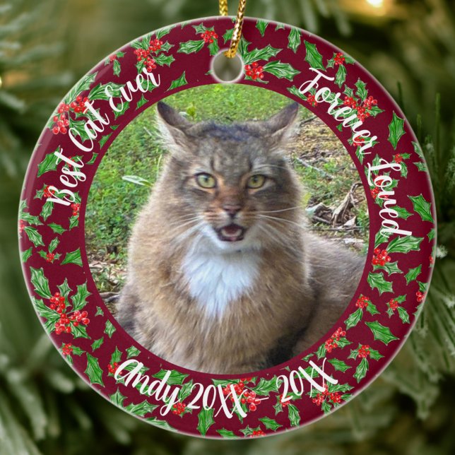 Best Cat Ever Custom Name Christmas Pet Gift  Ceramic Tree Decoration (Creator Uploaded)