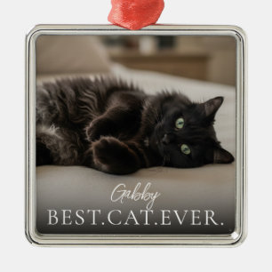 Best Cat Ever Your Pet Name And Photo Metal Tree Decoration