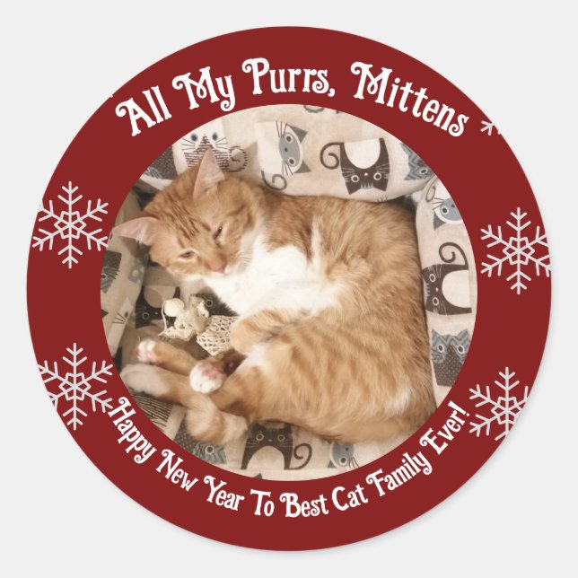 Best Cat Family  Ever , Cat Photo ,  Classic Round Sticker (Front)