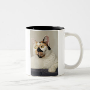 Best Cat Mum Photo Two-Tone Coffee Mug