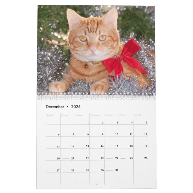 Best Cats Calendar (Dec 2026)