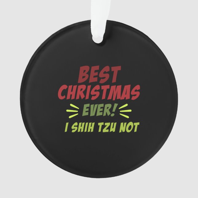Best Christmas ever  Ornament (Front)