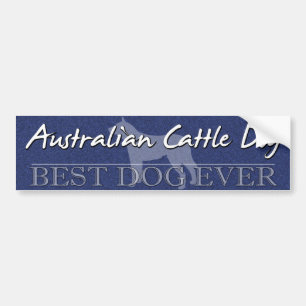 Best Dog Australian Cattle Dog Bumper Sticker