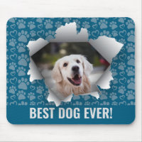 Best Dog Custom Pet Photo Paw Print Heart Pattern