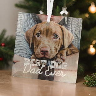 Best Dog Dad Ever Modern Custom Pet Photo Glass Tree Decoration
