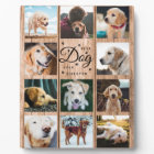 Best Dog Ever Farmhouse Rustic Photo Collage Wood