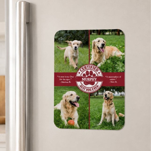 Best Dog Ever Photo Collage Magnet (cute fun funny whimsical certified best dog ever review custom 4 pet photo flexible fridge magnet)