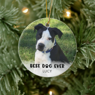 BEST DOG EVER Photo White Overlay Personalised Ceramic Tree Decoration