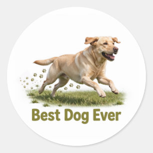 Best Dog Ever Sticker