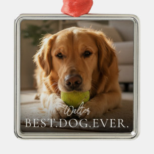 Best Dog Ever Your Pet Name And Photo Metal Tree Decoration