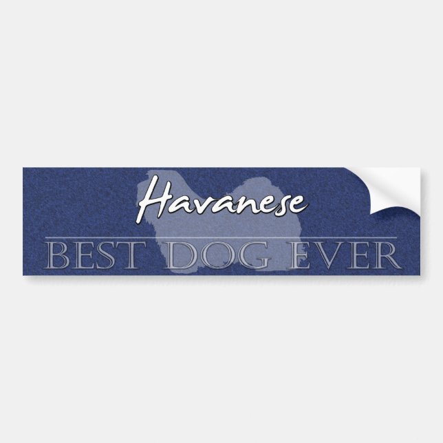 Best Dog Havanese Bumper Sticker (Front)