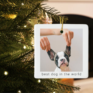 Best Dog In The World   Dog Photo Ceramic Ornament