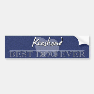 Best Dog Keeshond Bumper Sticker