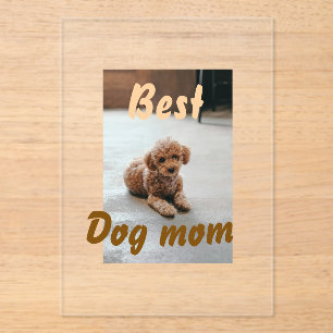 Best dog mum brown puddle pet dog cat mothers day acrylic invitations