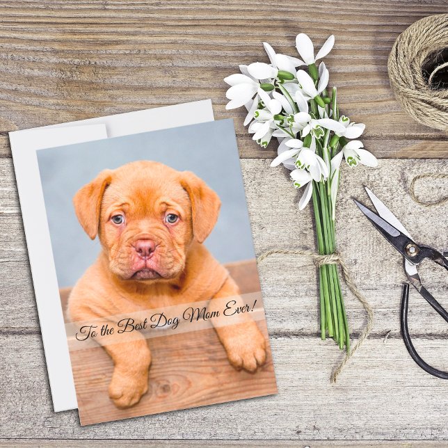 Best Dog Mum Ever Mother’s Day Custom Flat Card (Creator Uploaded)