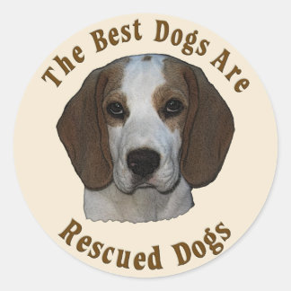 Best Dogs Are Rescued - Beagle Classic Round Sticker
