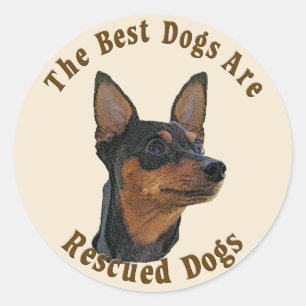 Best Dogs Are Rescued - Miniature Pinscher Classic Round Sticker