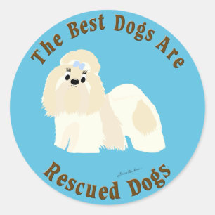 Best Dogs Are Rescued (Shih Tzu) Classic Round Sticker