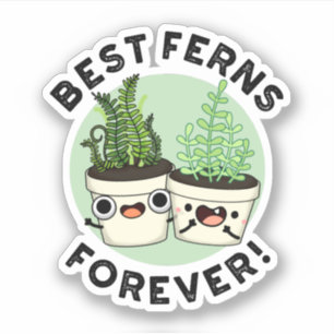 Best Ferns Forever Funny BFF Pun 