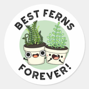 Best Ferns Forever Funny BFF Pun  Classic Round Sticker
