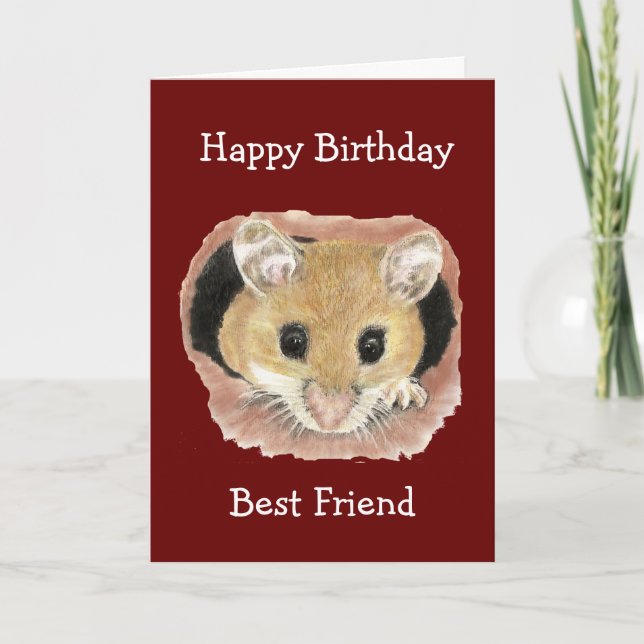 Best Friend Birthday Cute Peeking Mouse Fun Card (Front)