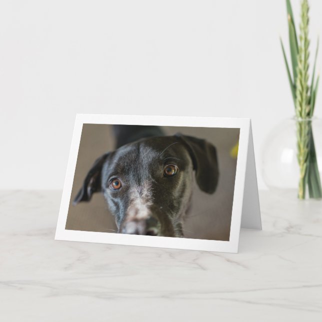 "Best Friend" blank folded greeting card (Front)