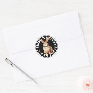 Best Friend Bunny Rabbit Classic Round Sticker